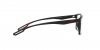 EA4189U Sunglasses