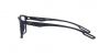 EA4189U Sunglasses
