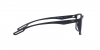 EA4189U Sunglasses