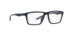 EA4189U Sunglasses