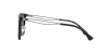 EA4189U Sunglasses