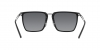 EA4189U Sunglasses