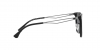 EA4189U Sunglasses