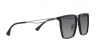 EA4189U Sunglasses
