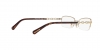 HC5097 Eyeglasses