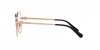 HC5134D Eyeglasses