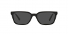 HC8328U C6196 Sunglasses