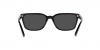 HC8328U C6196 Sunglasses