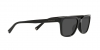HC8328U C6196 Sunglasses