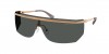 MK1169 Palisades Sunglasses