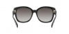 0MK2164 30058G SUN
