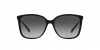 0MK2169 30058G SUN
