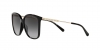 0MK2169 30058G SUN