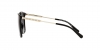0MK2169 30058G SUN
