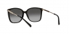 0MK2169 30058G SUN