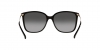 0MK2169 30058G SUN