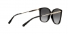 0MK2169 30058G SUN