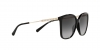 0MK2169 30058G SUN