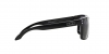 OO9102L Holbrook Sunglasses