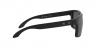 OO9102L Holbrook Sunglasses