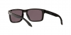 OO9102L Holbrook Sunglasses