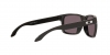 OO9102L Holbrook Sunglasses