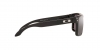 OO9102L Holbrook Sunglasses