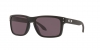 OO9102L Holbrook Sunglasses
