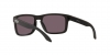 OO9102L Holbrook Sunglasses