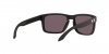 OO9102L Holbrook Sunglasses