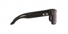 OO9102L Holbrook Sunglasses