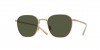 OV1329ST Rynn Sunglasses