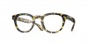 OV5036 Sheldrake Eyeglasses
