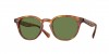 OV5454SU Desmon Sun Sunglasses
