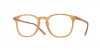 OV5491U Finley 1993 Eyeglasses