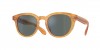 OV5547SU N.05 Sun Sunglasses