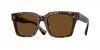 OV5564SU Ollice Sunglasses