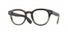 OV7032 Cary Grant Horn Eyeglasses