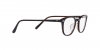 OV7975 Kligman Eyeglasses