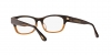 OV7982 Denton Eyeglasses
