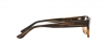 OV7982 Denton Eyeglasses