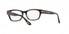 OV7982 Denton Eyeglasses