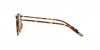 OV7988 Daelyn Eyeglasses