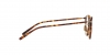 OV7988 Daelyn Eyeglasses