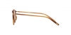 OV7988 Daelyn Eyeglasses