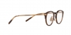 OV7988 Daelyn Eyeglasses