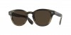 OV8028S Cary Grant Sun Horn Sunglasses