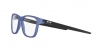 0OX8163L 8163B4 OPTICAL