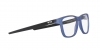 0OX8163L 8163B4 OPTICAL