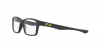 0OY8001L 800101 OPTICAL